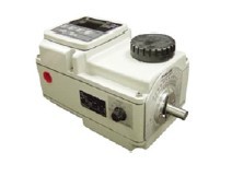 2001/2002 �綯ִ����